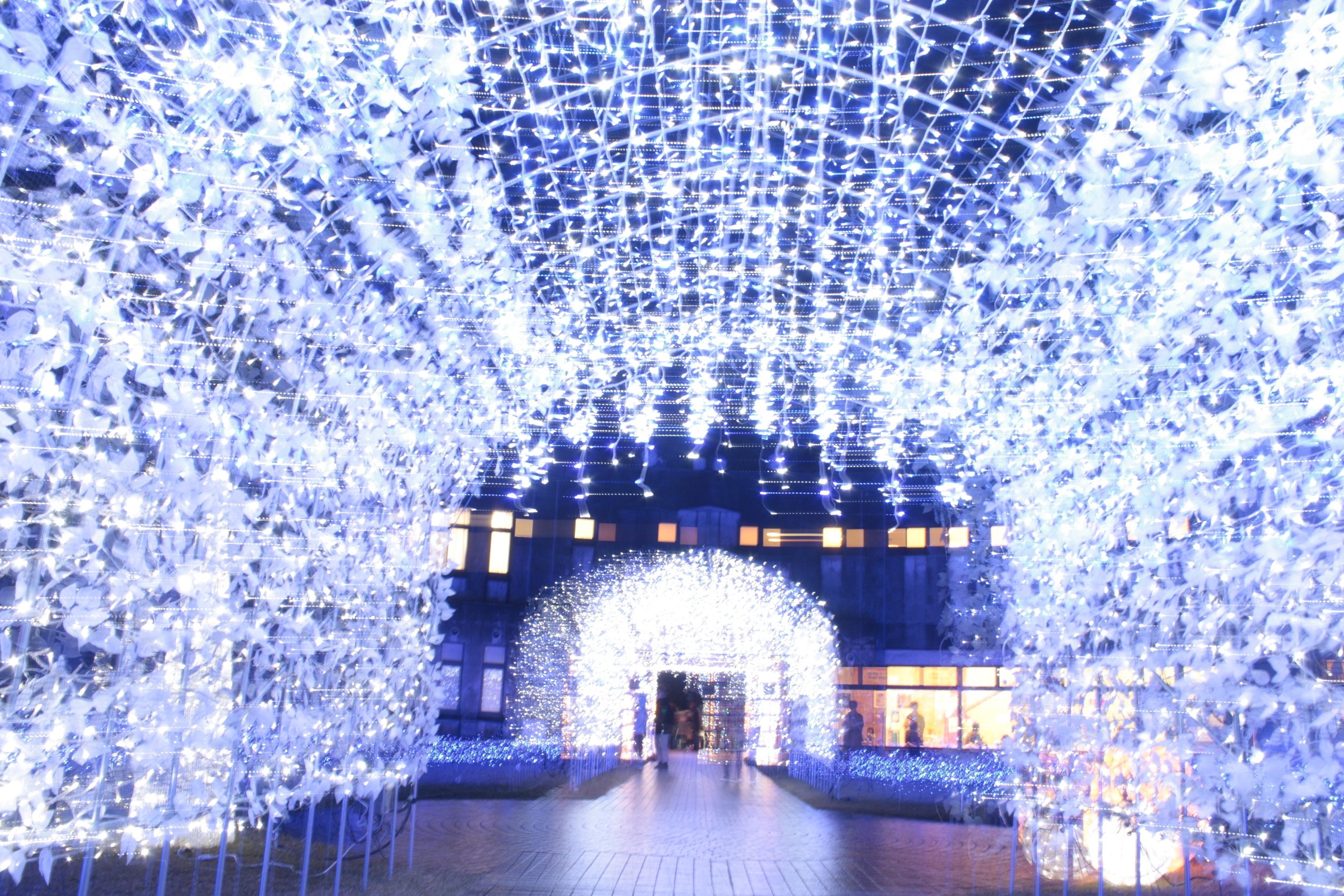 🎡 크로스랜드 오야베 이미지 10